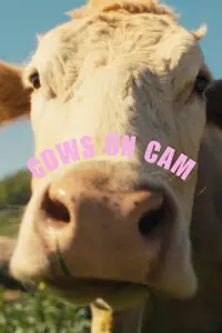 Poster to the movie "COWS ON CAM" #742152