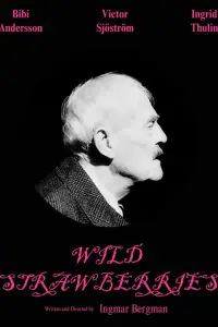 Poster to the movie "Wild Strawberries" #979368