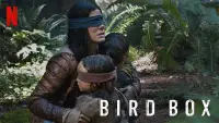 Backdrop to the movie "Bird Box" #938006