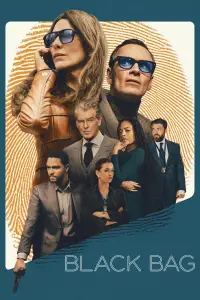 Poster to the movie "Black Bag" #903959