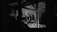 Backdrop to the movie "Dark Days" #729630