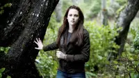 Backdrop to the movie "The Twilight Saga: New Moon" #1127932