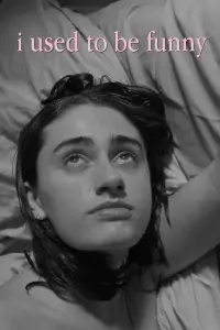 Poster to the movie "I Used to Be Funny" #686654