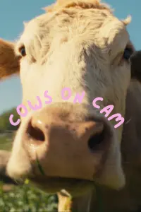 Poster to the movie "COWS ON CAM" #742153
