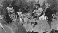 Backdrop to the movie "Homesteaders of Paradise Valley" #733607