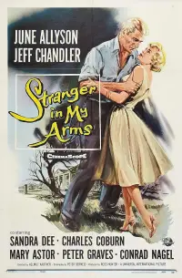 Poster to the movie "A Stranger in My Arms" #1145491