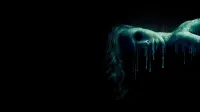 Backdrop to the movie "House of Wax" #691824