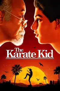 Poster to the movie "The Karate Kid" #649197