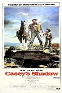 Poster to the movie "Casey