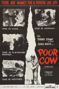 Poster to the movie "Poor Cow" #742737