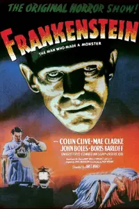 Poster to the movie "Frankenstein" #983303