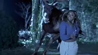 Backdrop to the movie "Bambi: The Reckoning" #699698