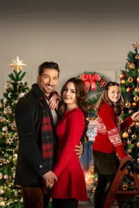 Poster to the movie "Christmas Keepsake" #747673