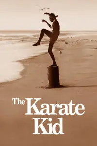 Poster to the movie "The Karate Kid" #649209