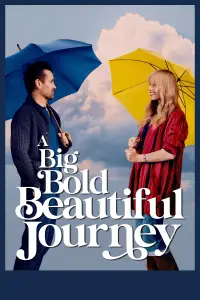 Poster to the movie "A Big Bold Beautiful Journey" #900171