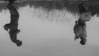 Backdrop to the movie "The Human Condition III: A Soldier