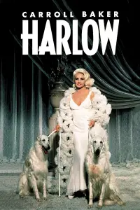 Poster to the movie "Harlow" #1043171