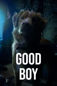 Poster to the movie "Good Boy" #724635
