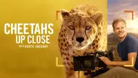 Backdrop to the movie "Cheetahs Up Close with Bertie Gregory" #539387