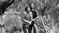 Backdrop to the movie "Cry of the Hunted" #810099