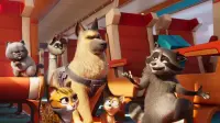 Backdrop to the movie "Pets on a Train" #745322