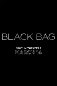 Poster to the movie "Black Bag" #903956
