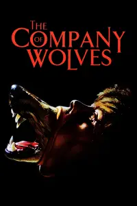Poster to the movie "The Company of Wolves" #959503