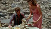 Backdrop to the movie "Pierrot le Fou" #693192