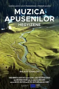 Poster to the movie "Hegyizene - Muzica Apusenilor" #805725