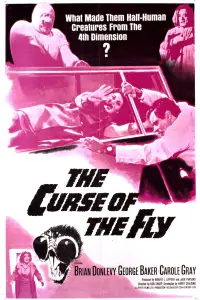 Poster to the movie "Curse of the Fly" #973210