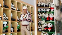 Backdrop to the movie "Panda Plan" #572754