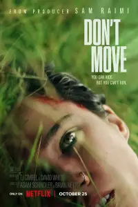 Poster to the movie "Don