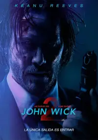 Poster to the movie "John Wick: Chapter 2" #912788