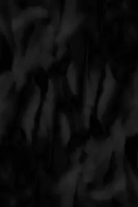 Poster to the movie "Phosphenes" #632756