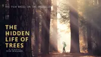 Backdrop to the movie "The Hidden Life of Trees" #1018802