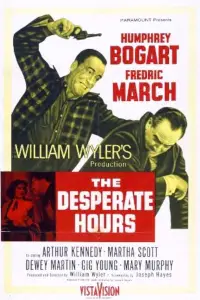 Poster to the movie "The Desperate Hours" #719529