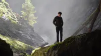 Backdrop to the movie "Unleashed" #688585