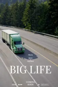 Poster to the movie "Big Life" #1047815