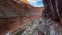Backdrop to the movie "Into the Grand Canyon" #697854