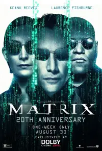 Poster to the movie "The Matrix" #903575