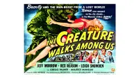 Backdrop to the movie "The Creature Walks Among Us" #1147086