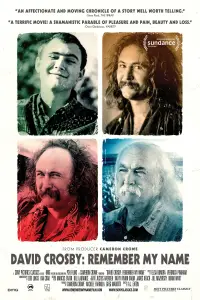 Poster to the movie "David Crosby: Remember My Name" #1002203