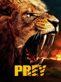 Poster to the movie "Prey" #954413