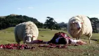 Backdrop to the movie "Black Sheep" #785905