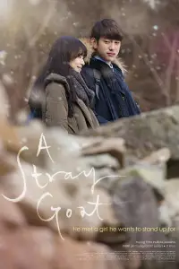 Poster to the movie "A Stray Goat" #1011176