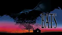 Backdrop to the movie "Bats" #988468