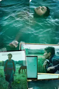 Poster to the movie "Bird" #610316