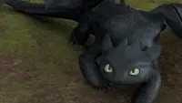 Backdrop to the movie "How to Train Your Dragon" #739275