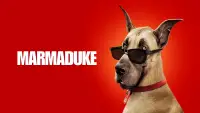 Backdrop to the movie "Marmaduke" #616751