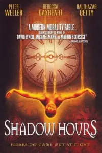 Poster to the movie "Shadow Hours" #1113978